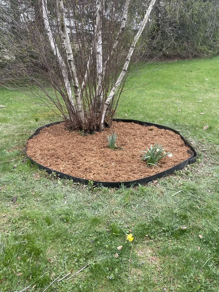Trusted lawn care service in Old Chatham, NY by Kelly Property Maintenance
