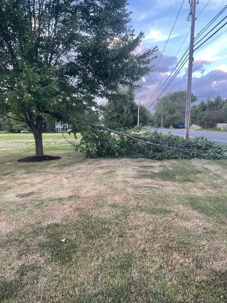 Reliable yard cleanup service for beautiful yards in Old Chatham, NY by Kelly Property Maintenance