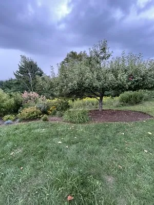 Kelly Property Maintenance