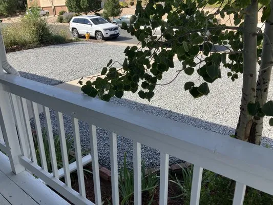 Kelly Tree And Lawn Services