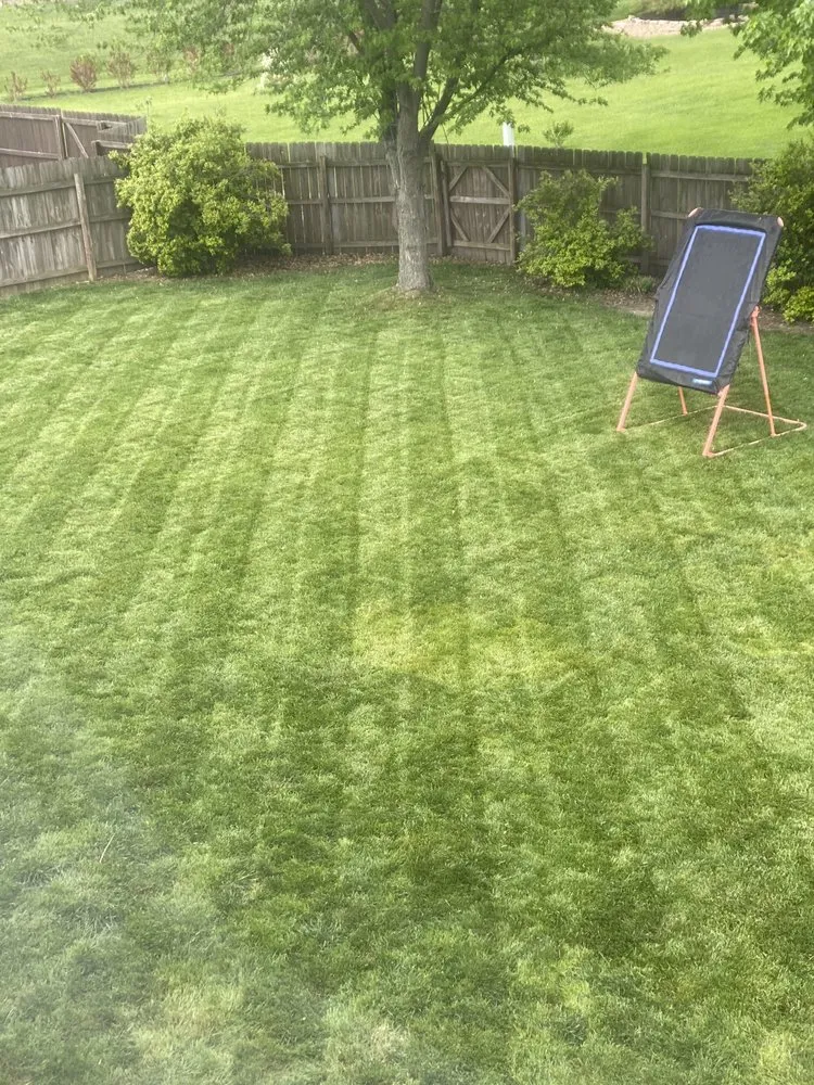 Expert landscaping services near you in Evansville, IN by Kellygreen Lawn Maintenance