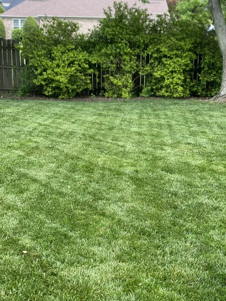 Professional residential landscaping in Evansville, IN - Kellygreen Lawn Maintenance