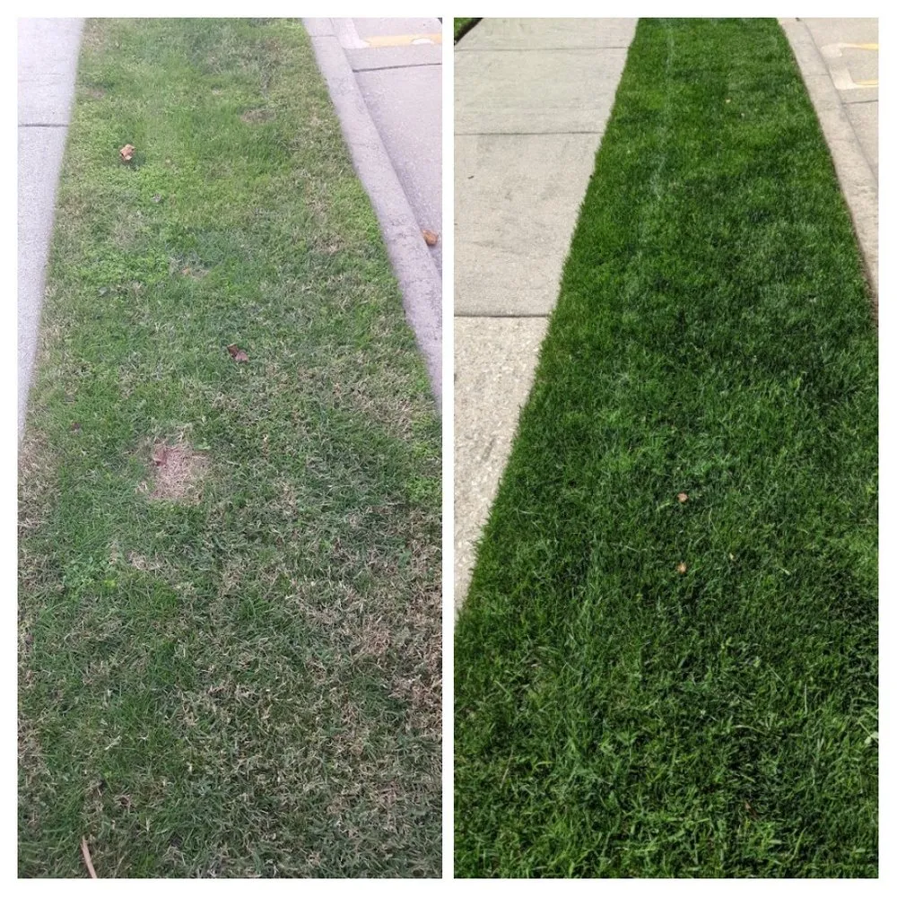 Affordable outdoor landscaping near you in Linwood, NJ by Kellys All Pro Landscaping