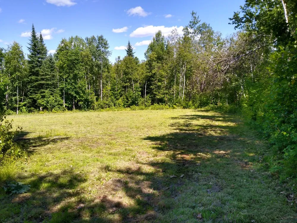 Professional yard maintenance for year-round maintenance across Abbot, ME - Kelly's Handy Man And Lawn Care Service