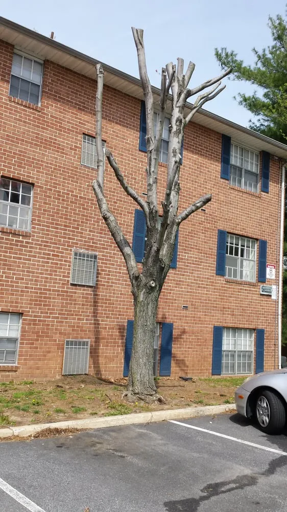 Expert lawn mowing service near you in Boothwyn, PA by Kelly's Landscaping