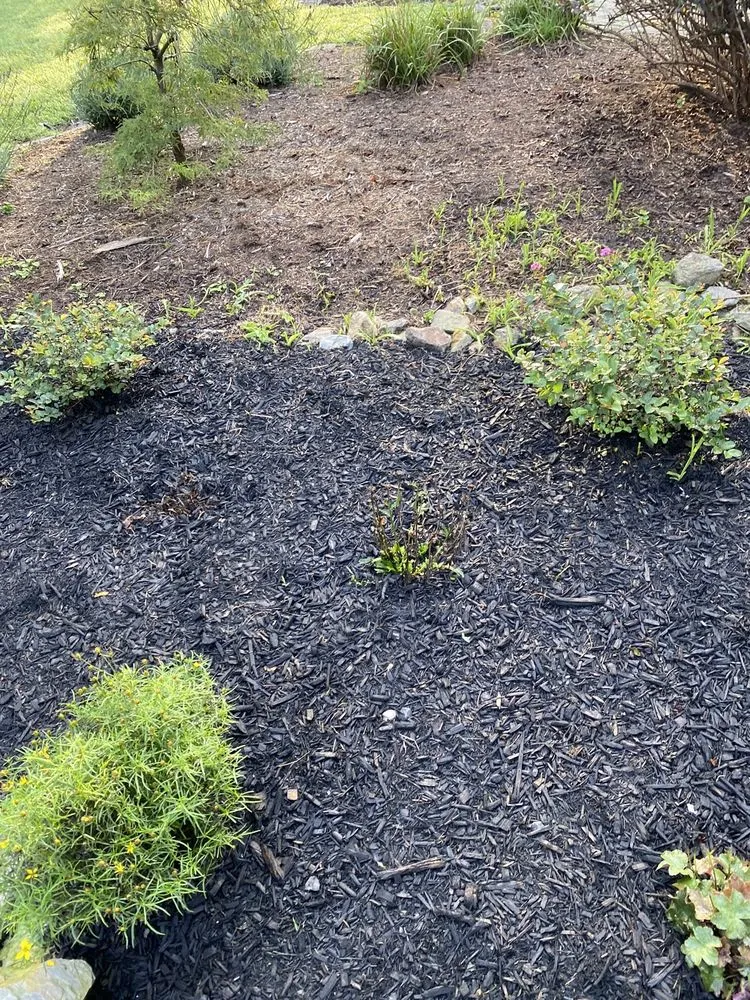 Professional landscaping services in Boothwyn, PA by Kelly's Landscaping