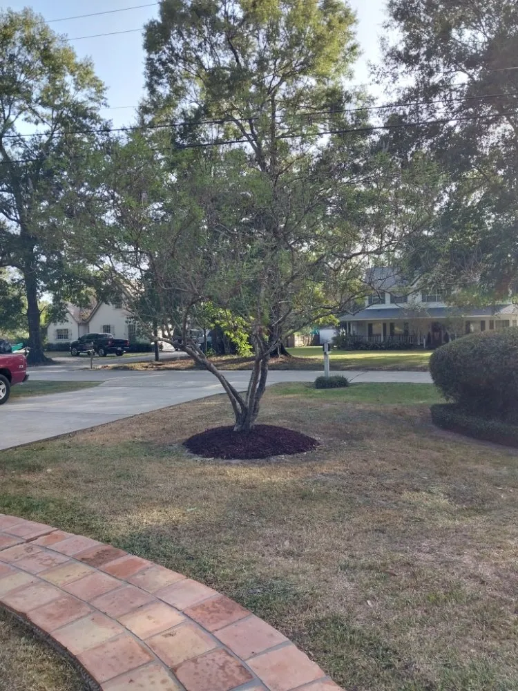 Custom outdoor landscaping for year-round maintenance in Covington, LA by Kelly's Landscaping