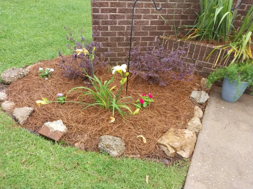 Expert landscape installation for year-round maintenance in Covington, LA by Kelly's Landscaping