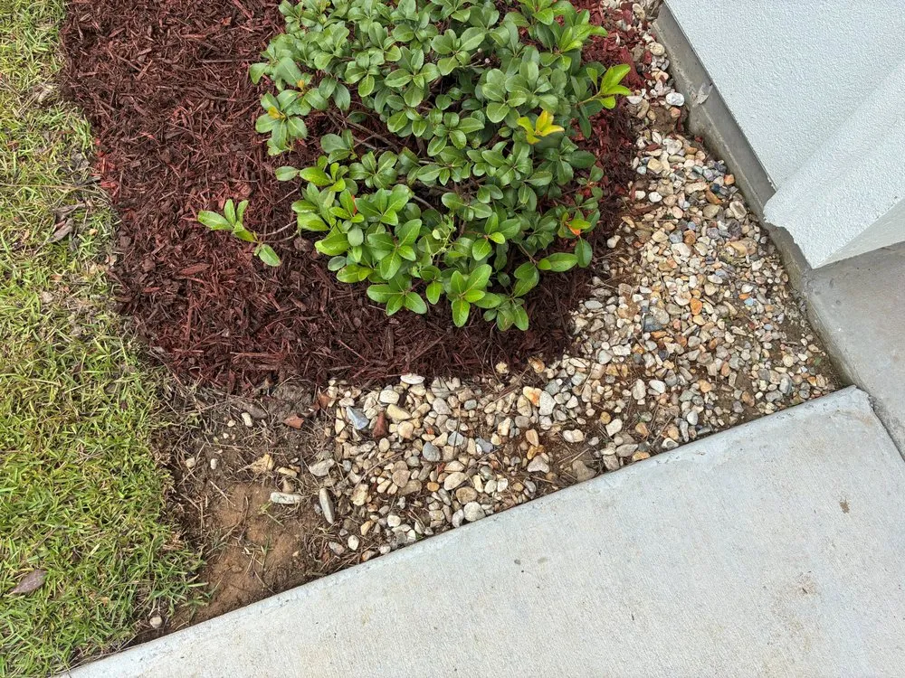 Custom outdoor landscaping for beautiful yards across Covington, LA - Kelly's Landscaping