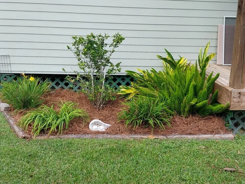 Local yard maintenance experts serving Covington, LA - Kelly's Landscaping