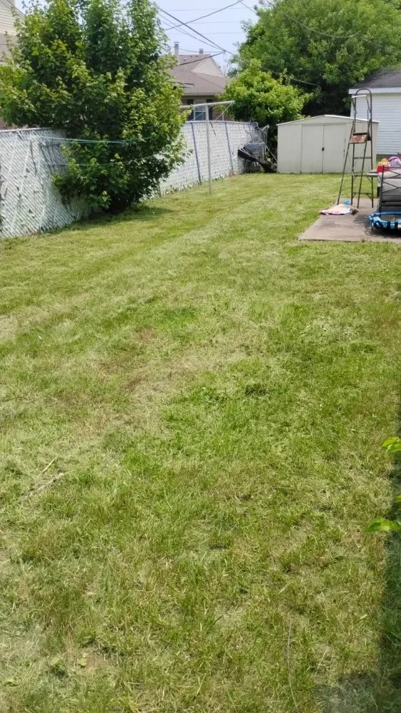 Affordable residential landscaping for residential properties across Owensboro, KY - Kelly's Lawn Care Service