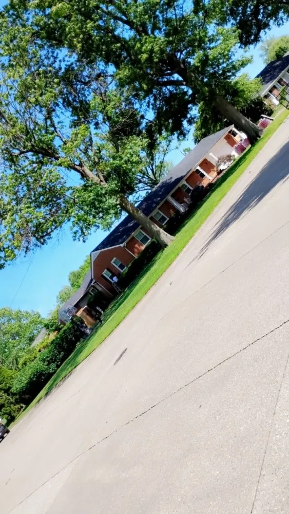 Expert lawn care service in Owensboro, KY by Kelly's Lawn Care Service