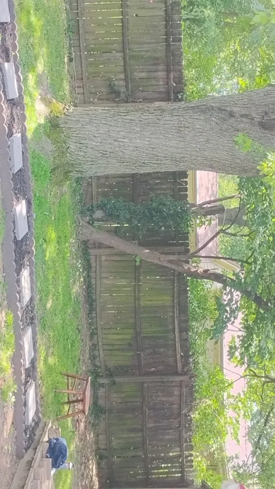 Reliable lawn mowing service for outdoor upgrades across Owensboro, KY - Kelly's Lawn Care Service