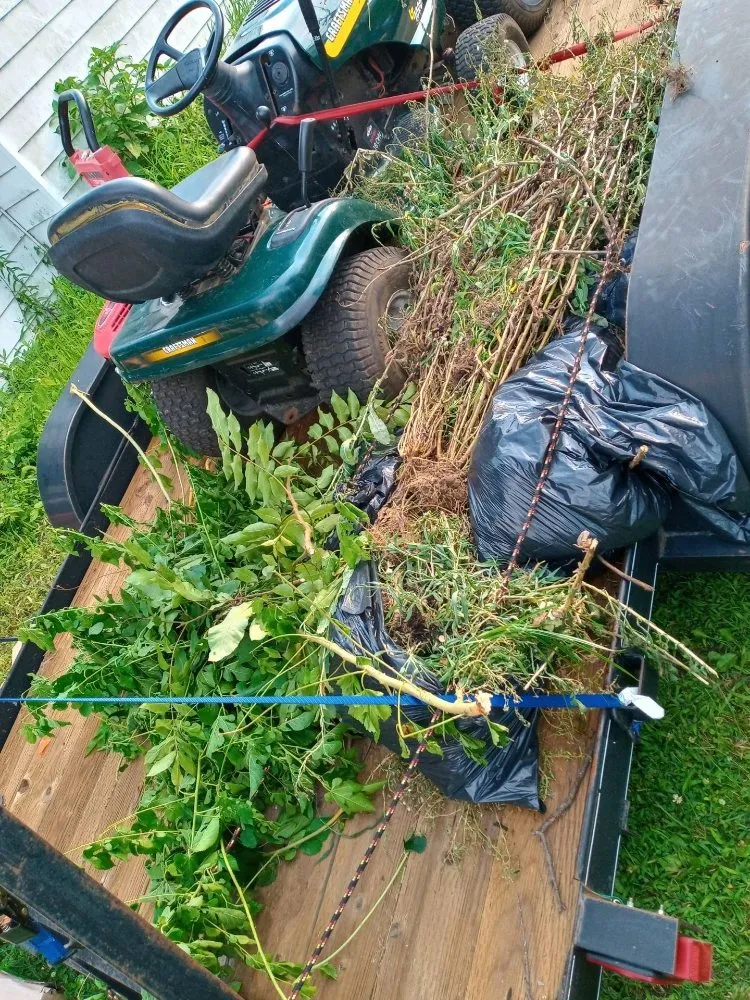 Professional landscape design experts serving Owensboro, KY - Kelly's Lawn Care Service