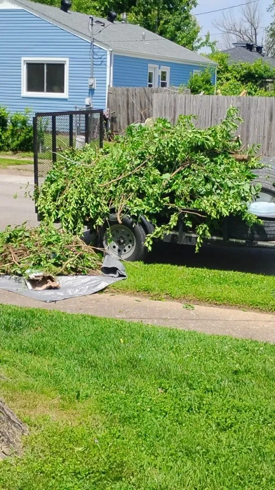 Local landscaping services experts serving Owensboro, KY - Kelly's Lawn Care Service