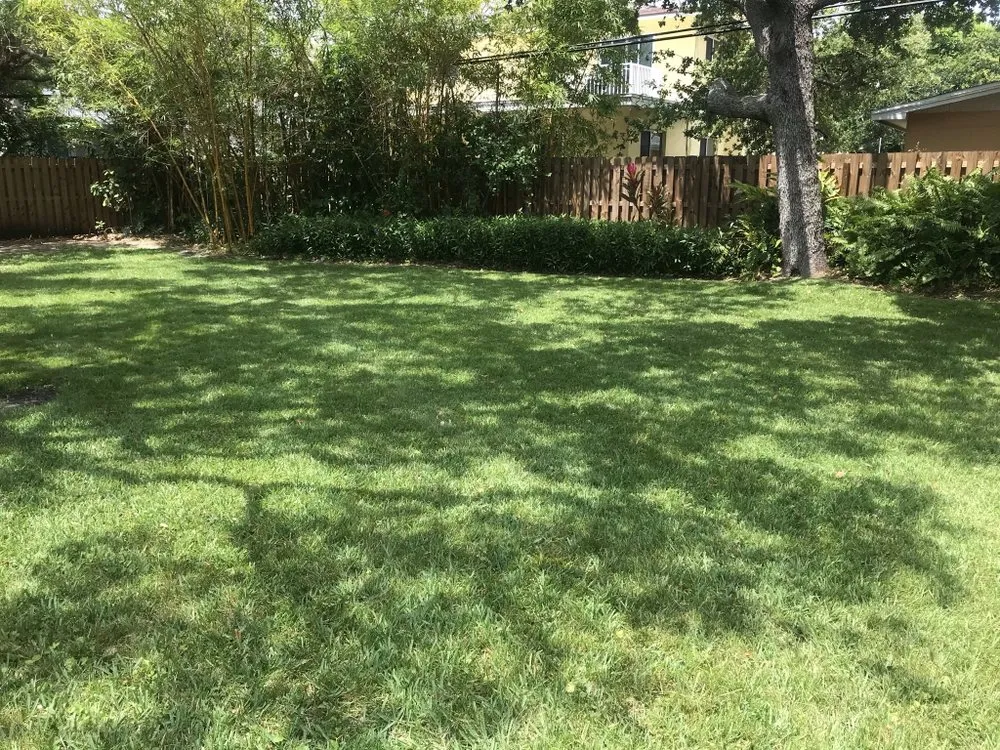 Trusted landscaping services in Cocoa Beach, FL by Kelly's Lawns