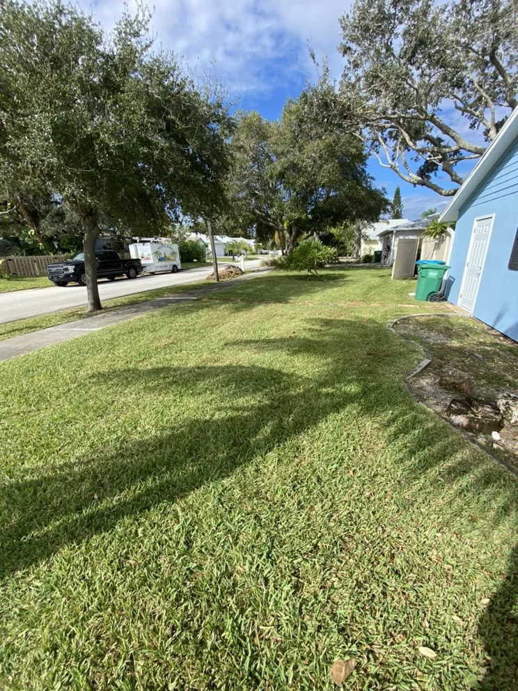 Expert yard cleanup service experts serving Cocoa Beach, FL - Kelly's Lawns