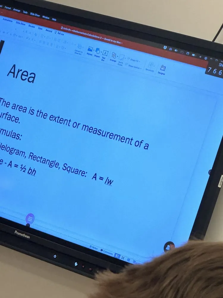 Reliable lawn care service in Saraland, AL by Kelly’s Pressure Washing