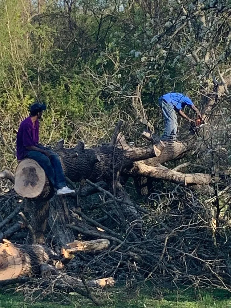 Expert lawn mowing service for beautiful yards across Polkton, NC - Kelly's Tree & Landscaping Services