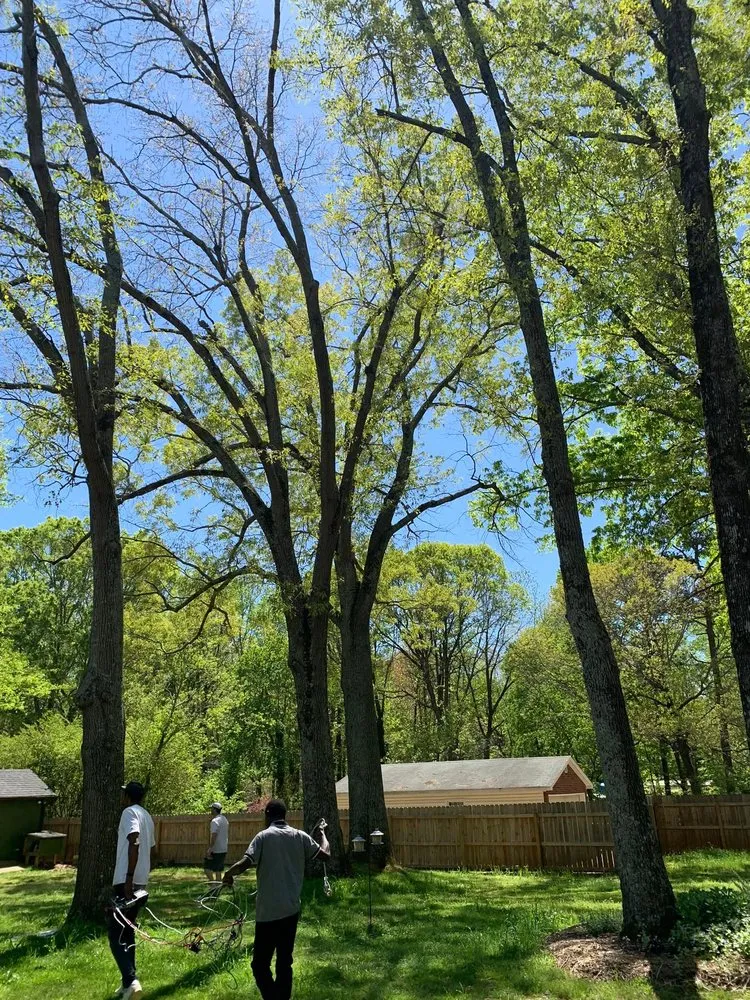 Professional landscape installation for residential properties in Polkton, NC by Kelly's Tree & Landscaping Services