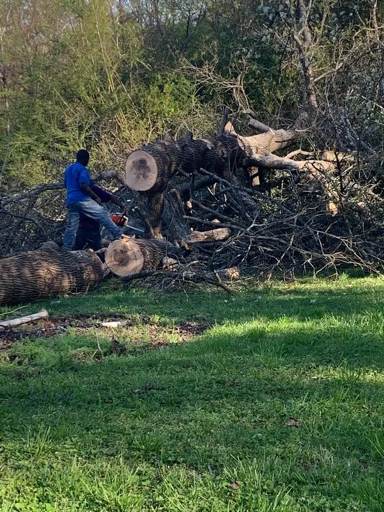 Reliable residential landscaping in Polkton, NC - Kelly's Tree & Landscaping Services