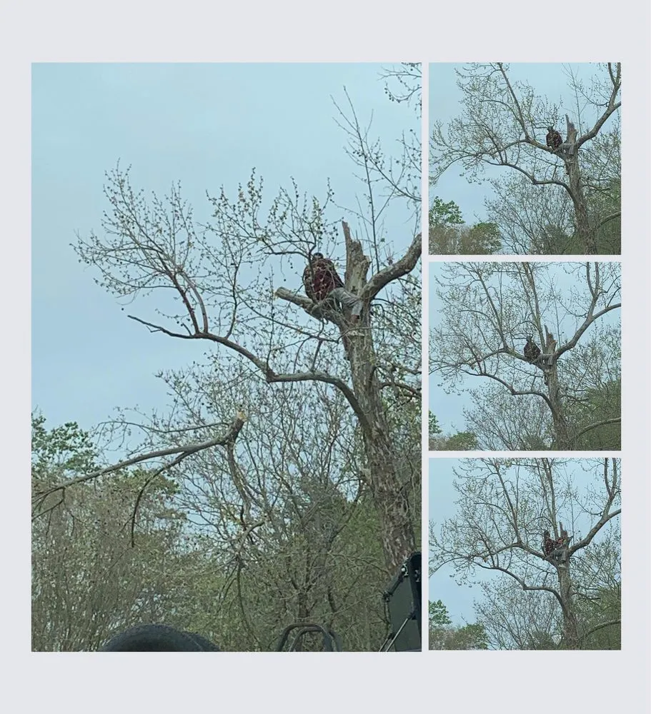 Local landscape design in Polkton, NC by Kelly's Tree & Landscaping Services