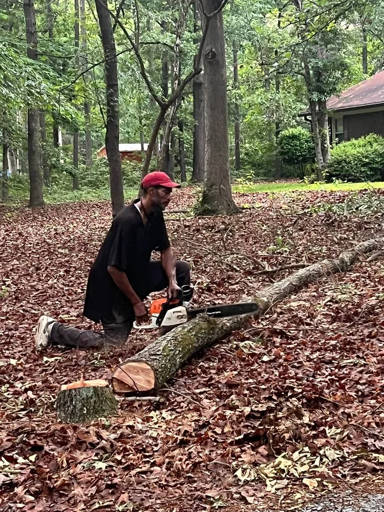 Top-rated yard maintenance in Polkton, NC by Kelly's Tree & Landscaping Services