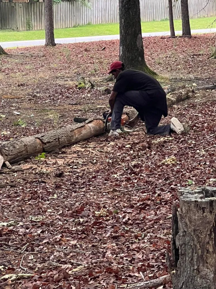 Expert landscape design for year-round maintenance in Polkton, NC by Kelly's Tree & Landscaping Services