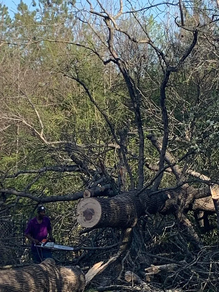 Trusted lawn mowing service in Polkton, NC by Kelly's Tree & Landscaping Services