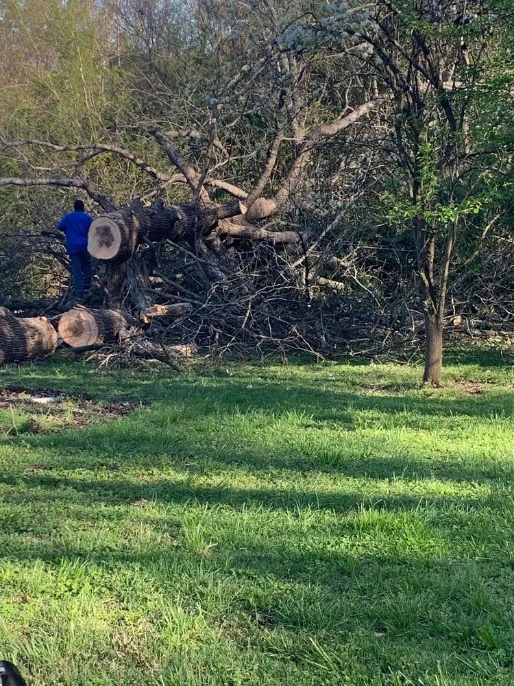 Custom lawn mowing service near you across Polkton, NC - Kelly's Tree & Landscaping Services