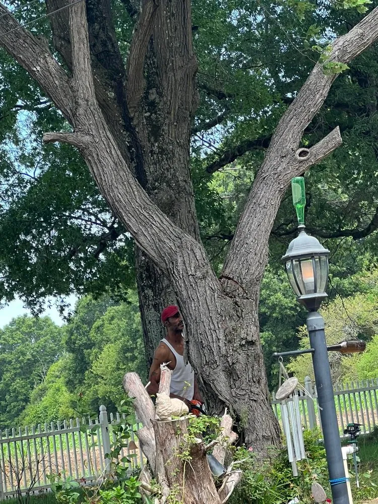 Affordable outdoor landscaping with custom design across Polkton, NC - Kelly's Tree & Landscaping Services