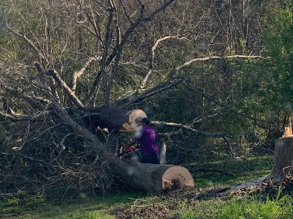 Top-rated outdoor landscaping in Polkton, NC by Kelly's Tree & Landscaping Services