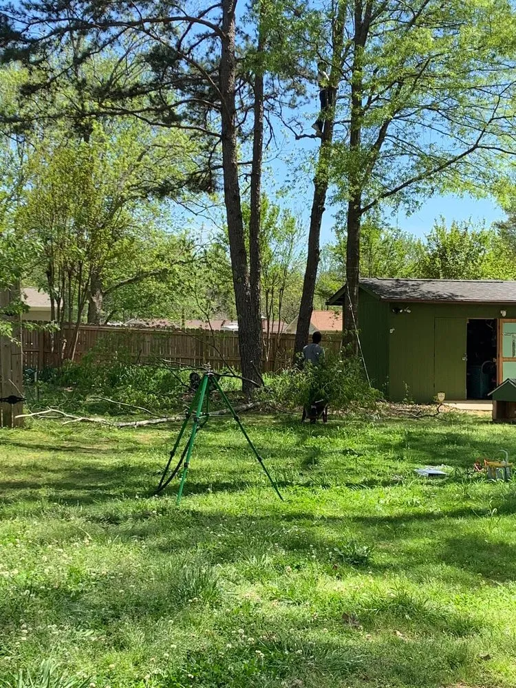 Affordable residential landscaping for beautiful yards in Polkton, NC by Kelly's Tree & Landscaping Services