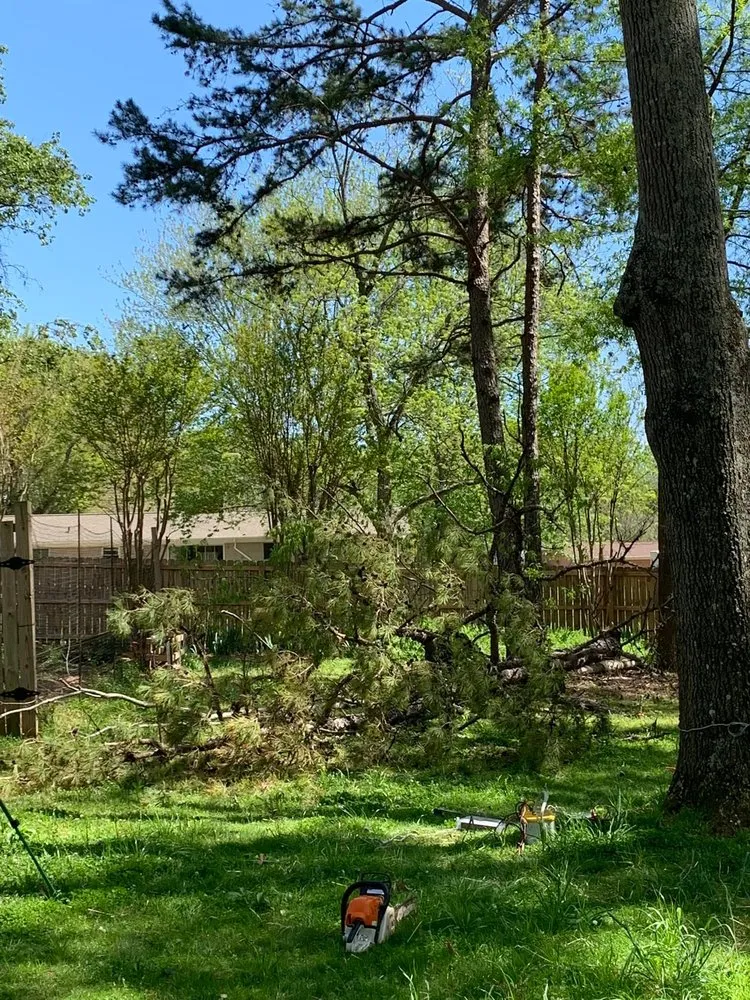 Top-rated lawn mowing service in Polkton, NC - Kelly's Tree & Landscaping Services