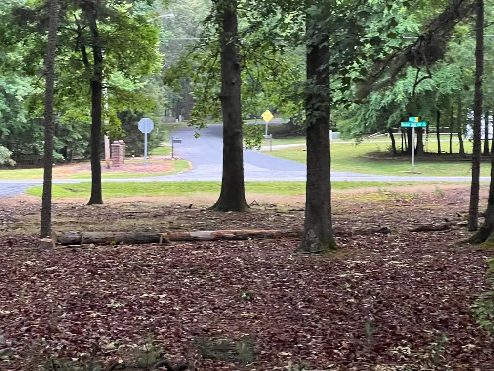 Trusted landscape installation for outdoor upgrades across Polkton, NC - Kelly's Tree & Landscaping Services