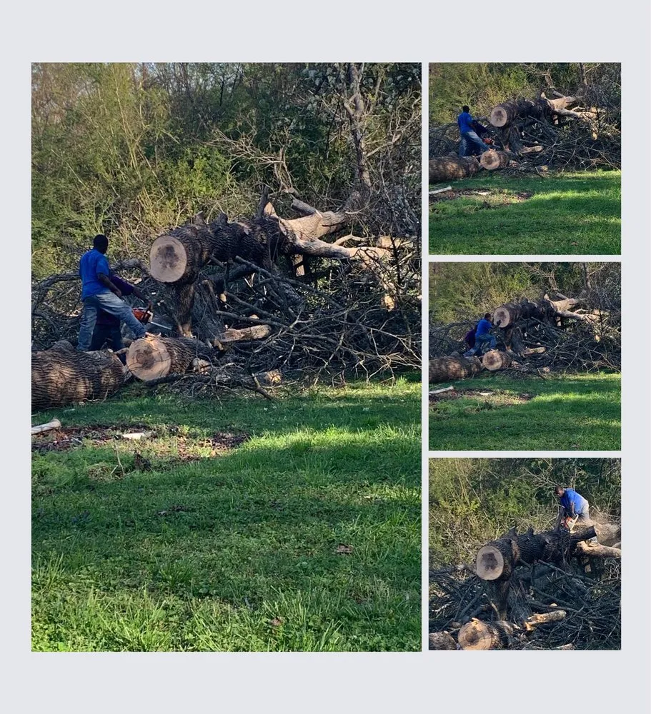 Expert landscape design for residential properties across Polkton, NC - Kelly's Tree & Landscaping Services