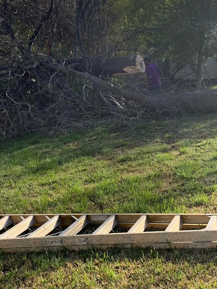 Trusted landscape design in Polkton, NC - Kelly's Tree & Landscaping Services