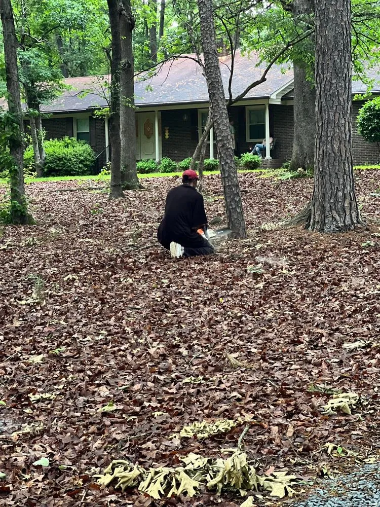 Professional landscape design in Polkton, NC by Kelly's Tree & Landscaping Services