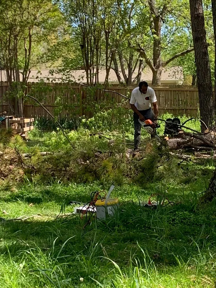 Top-rated yard maintenance in Polkton, NC - Kelly's Tree & Landscaping Services