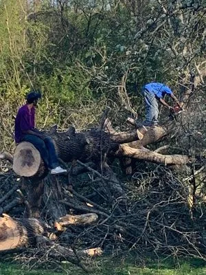 Kelly's Tree & Landscaping Services