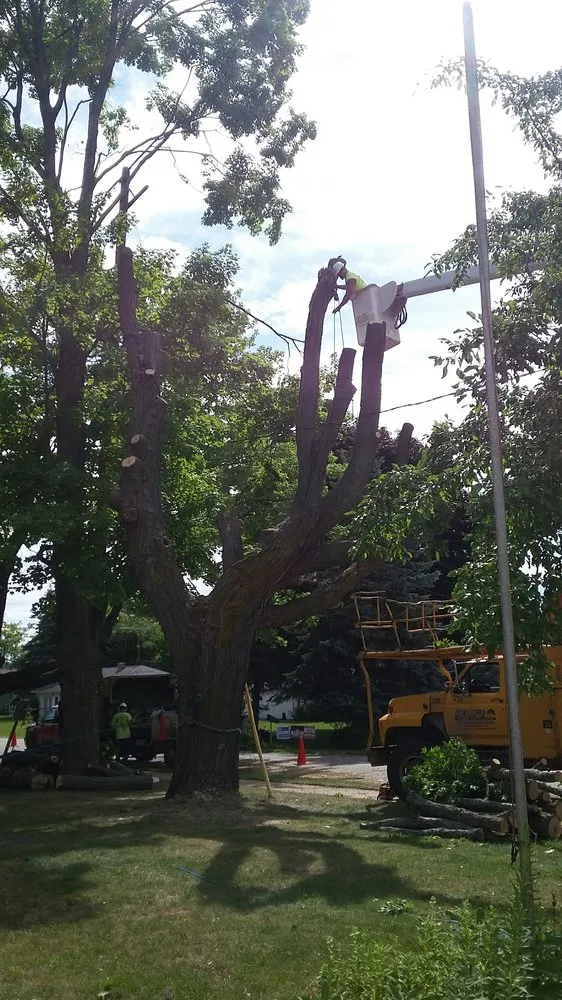 Local landscaping services experts serving Harrison, MI - Kelly's Tree Service