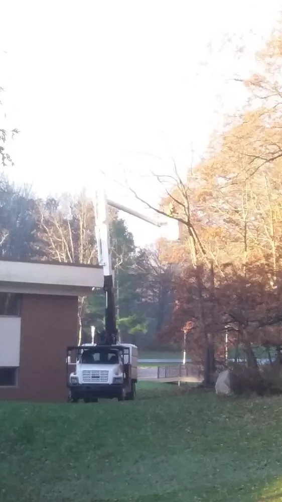 Professional yard maintenance for outdoor upgrades in Harrison, MI by Kelly's Tree Service