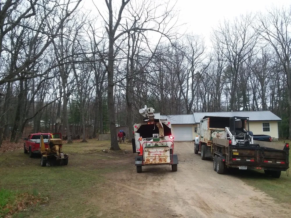 Affordable landscaping services for outdoor upgrades across Harrison, MI - Kelly's Tree Service