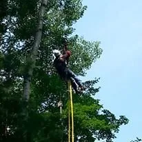 Reliable lawn mowing service in Harrison, MI by Kelly's Tree Service