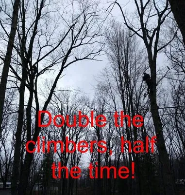 Kelly's Tree Service