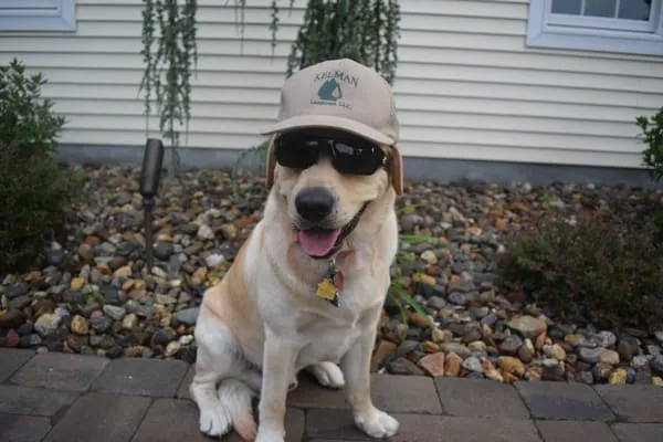 Kelman Landscape Logo