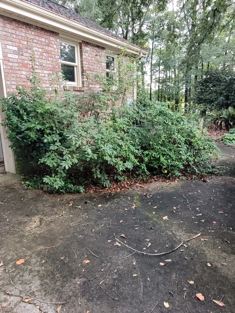 Local garden landscaping for outdoor upgrades across Valley, AL - Kelo Farm Hauling