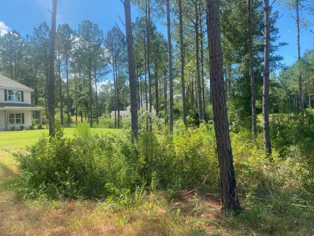 Expert lawn mowing service experts serving Valley, AL - Kelo Farm Hauling