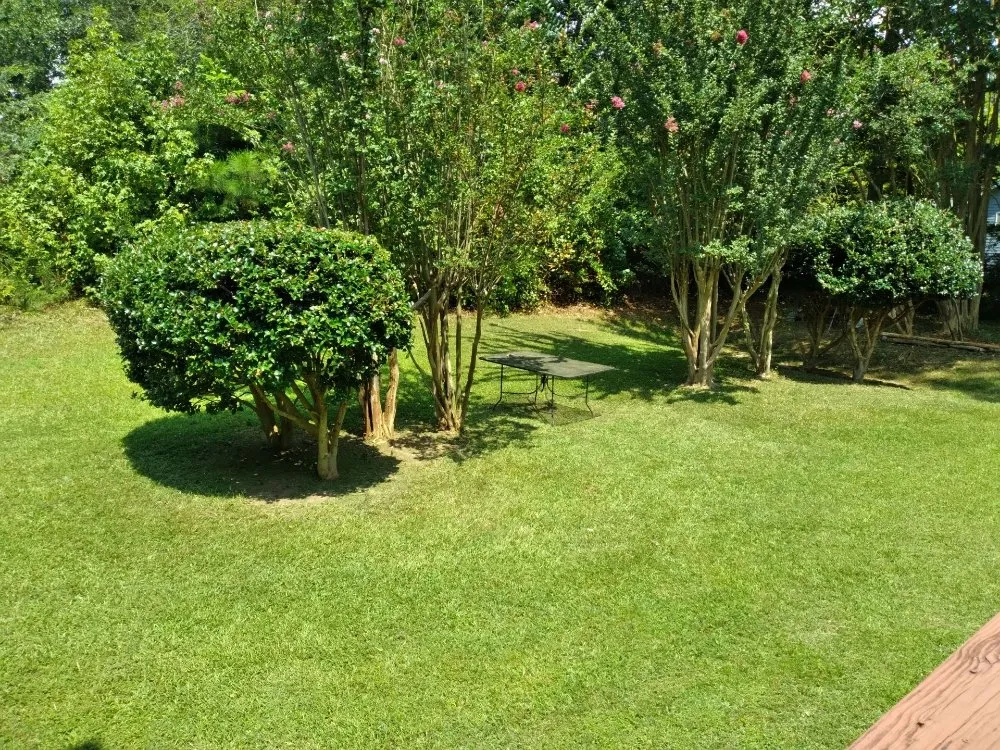 Custom lawn mowing service in Valley, AL - Kelo Farm Hauling