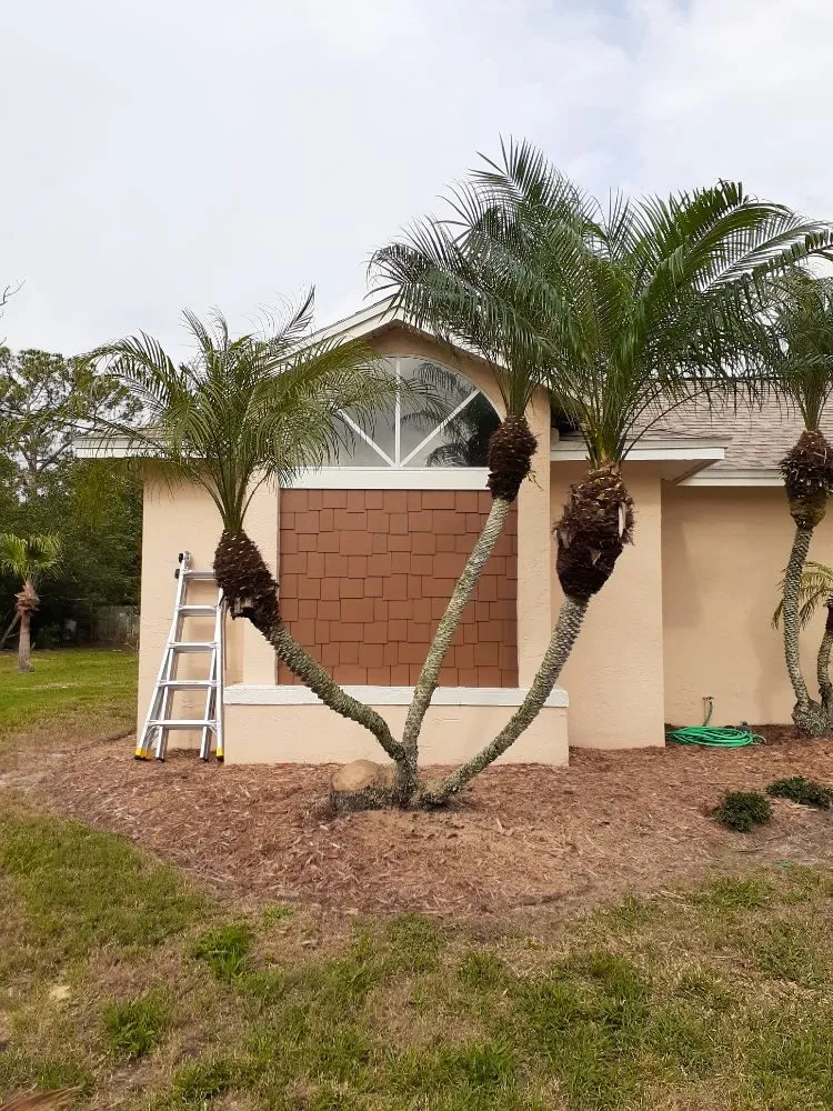 Affordable landscape design experts serving Cocoa, FL - Kelp's Lawn Service
